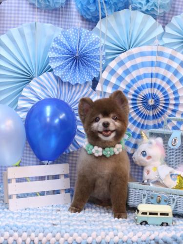 20231119クッキーくん